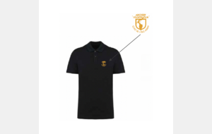 Polo Homme